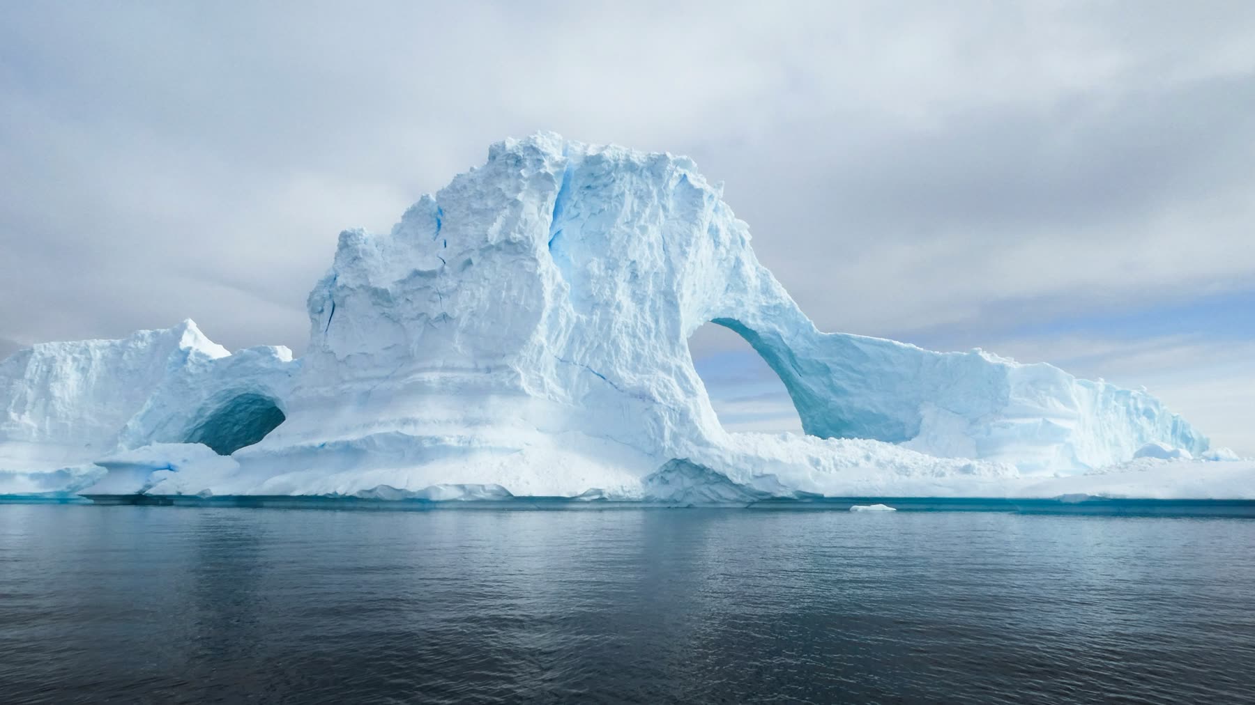 Antartica