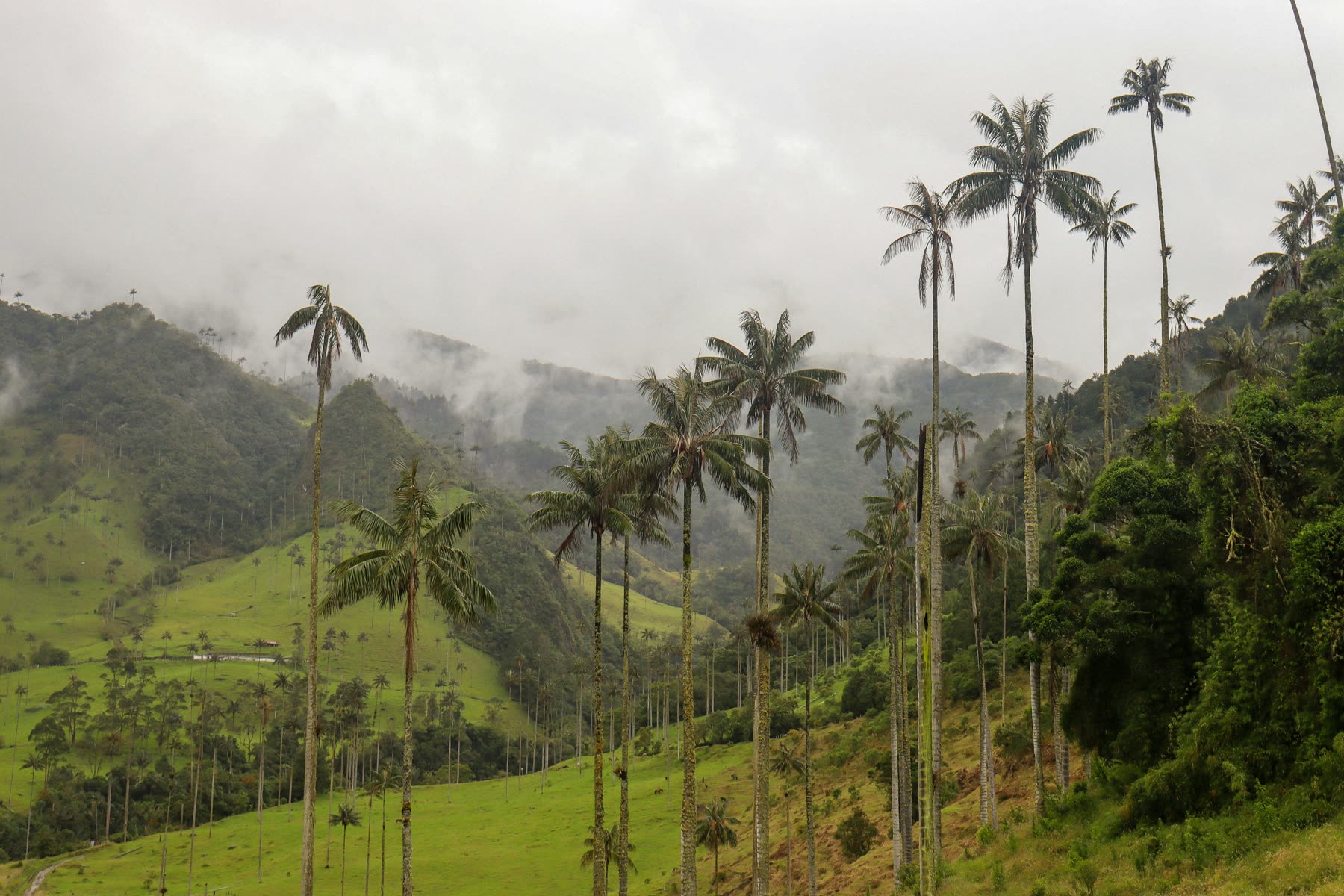 Colombia