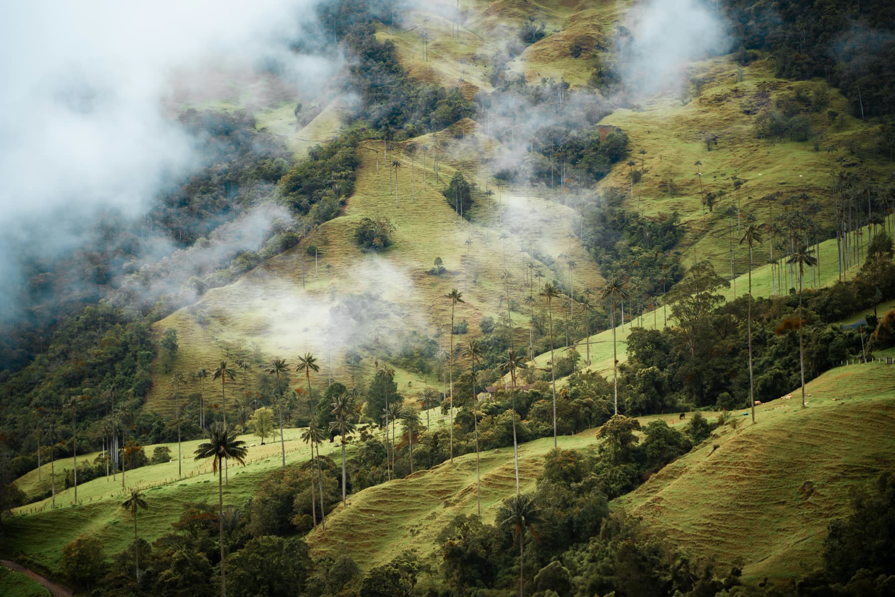Colombia III