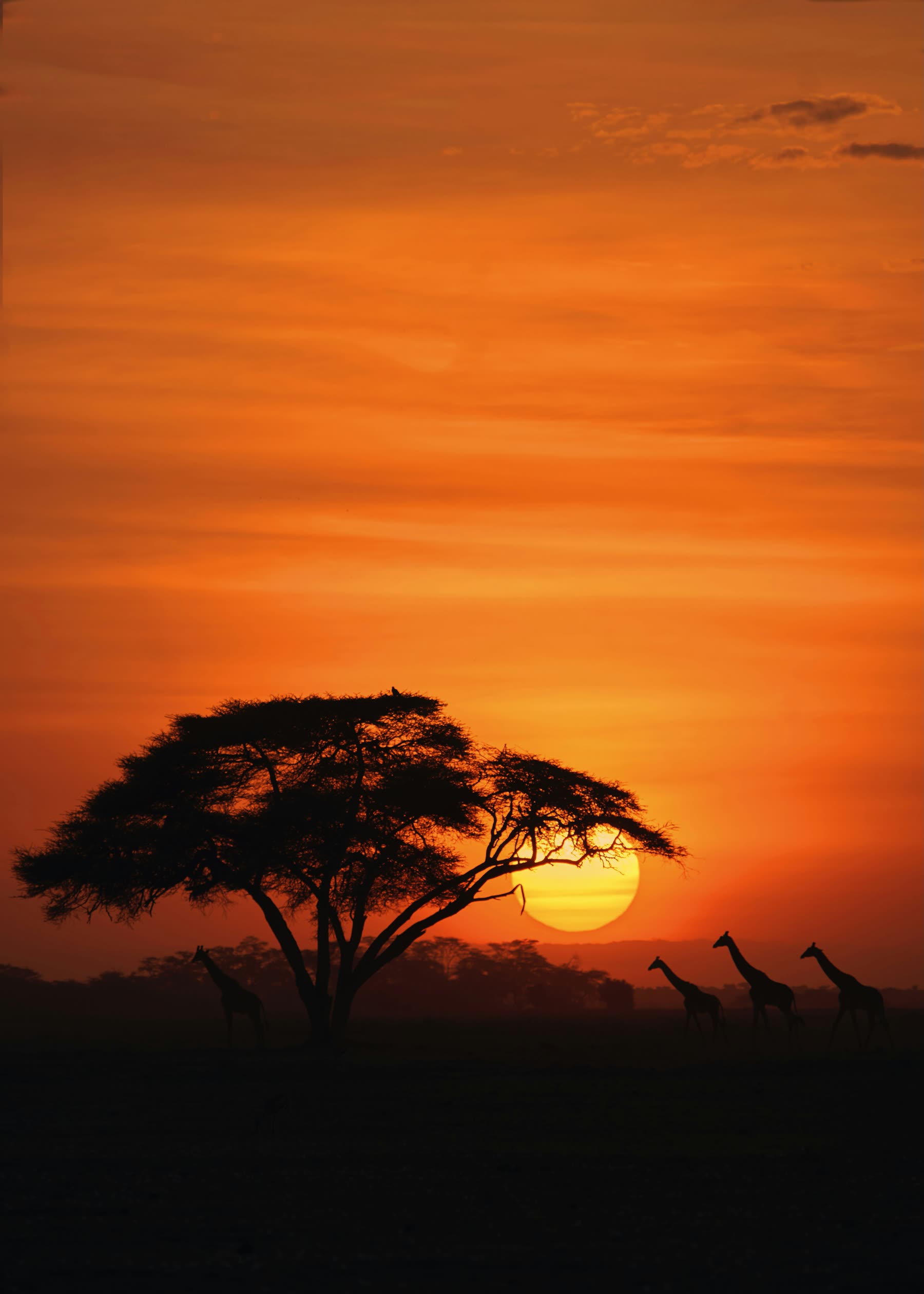 Kenia