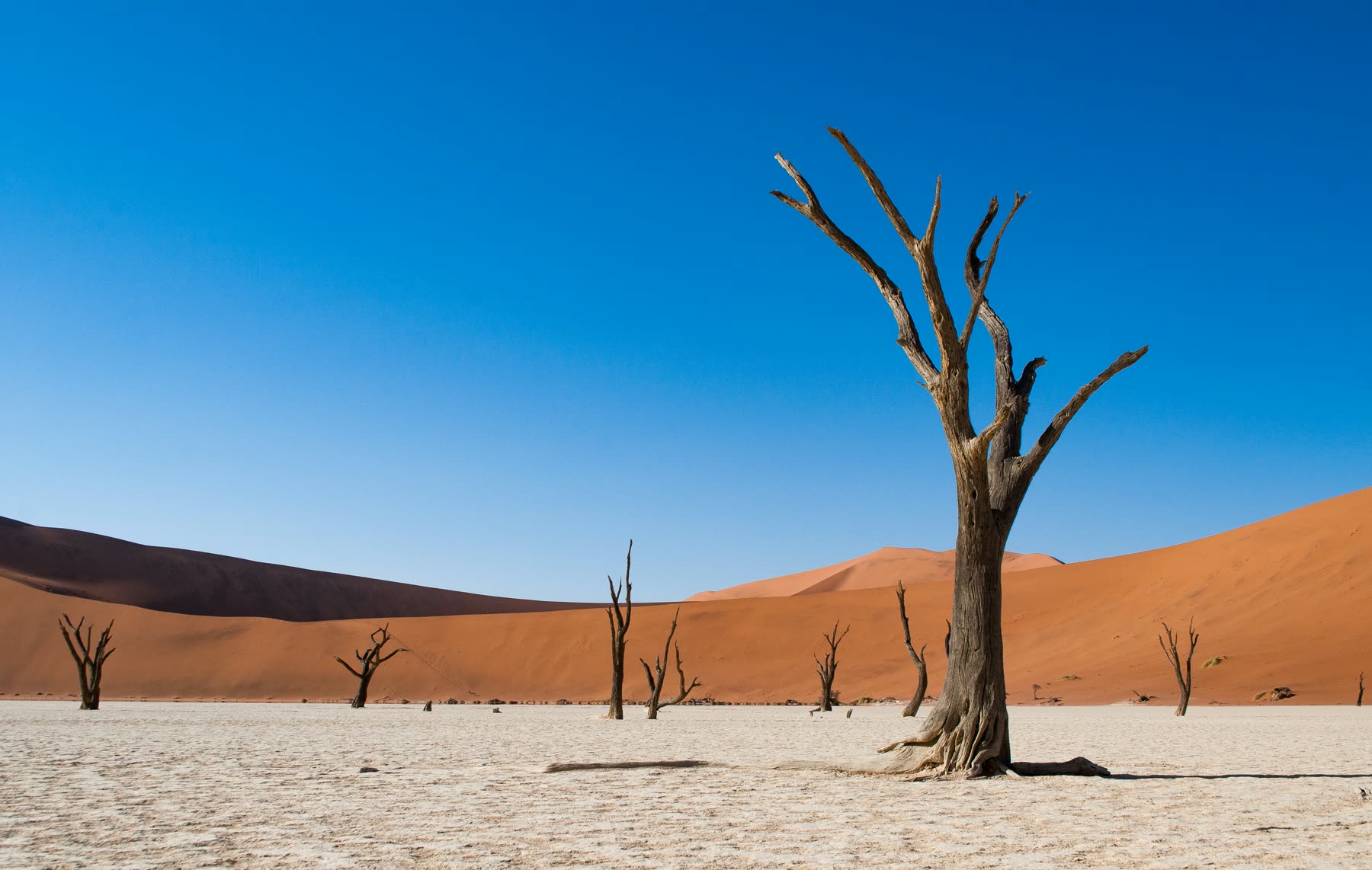 Namibie