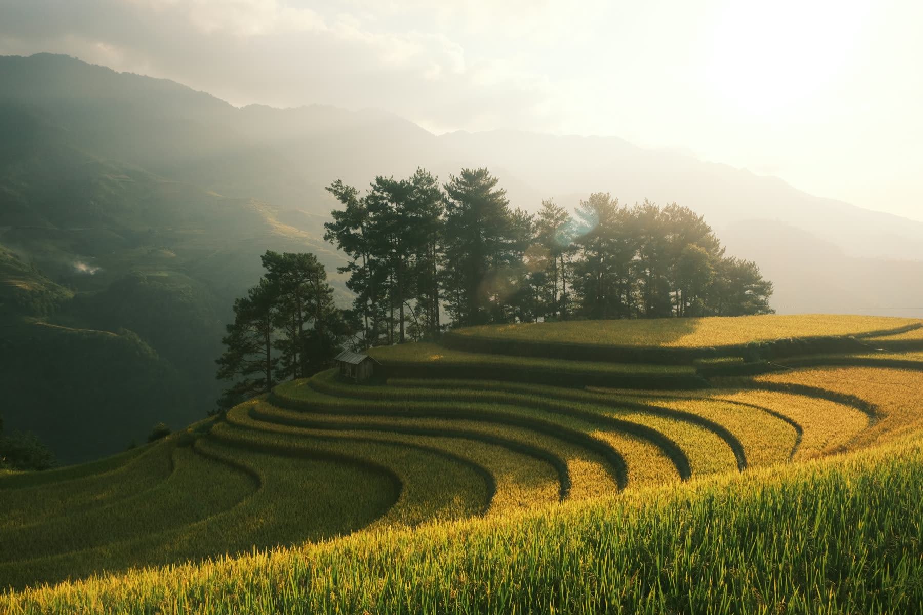 Vietnam