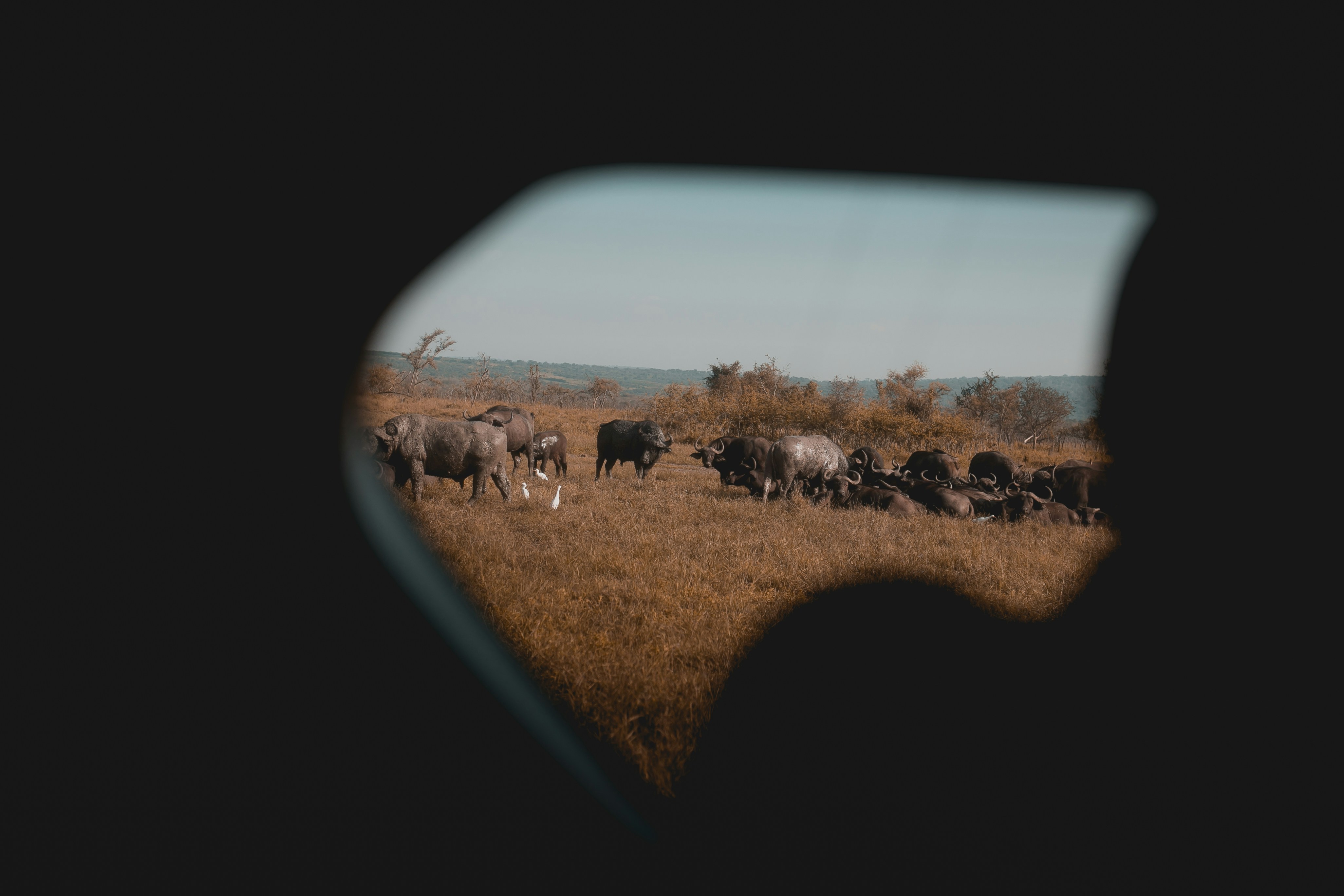 one-zone-studio-db10MvxINAM-unsplash